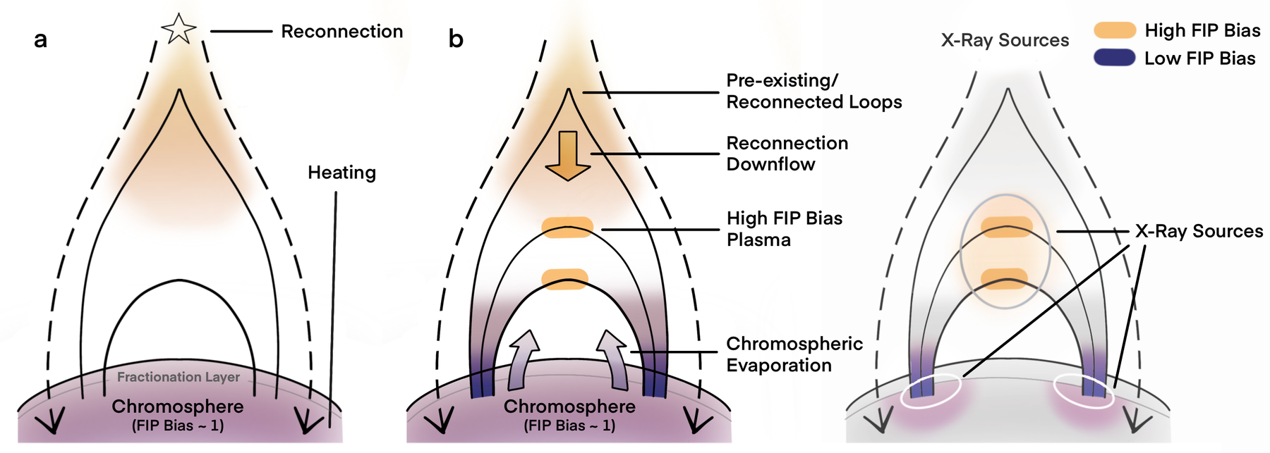 Illustration of flare-loop downflows, chromospheric evaporation, and high- and low-FIP-bias plasma in reconnected loops.